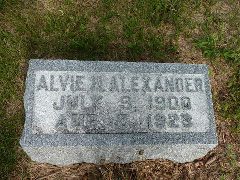 Alexander Alvie