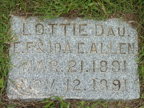 Allen Lottie