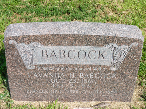 Babcock Lavanda