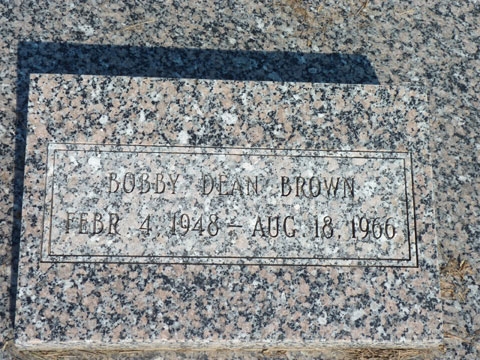 Brown Bobby