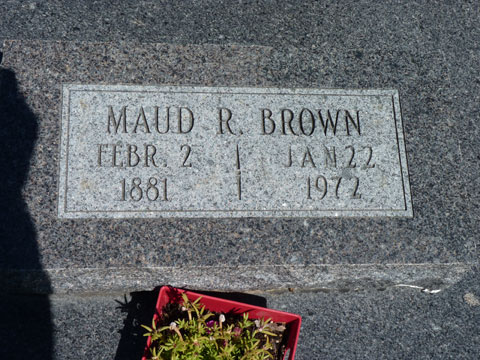 Brown Maud