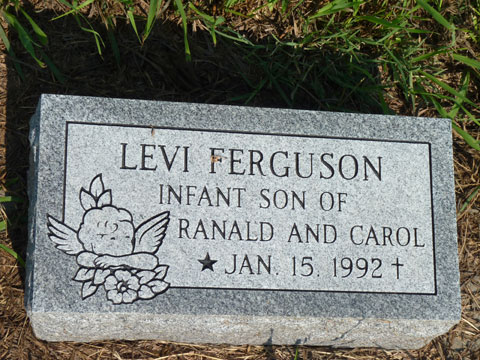 Ferguson Levi