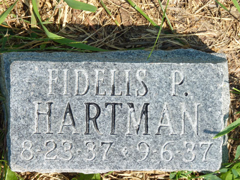 Hartman Fidelis