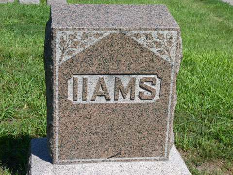 Iiams