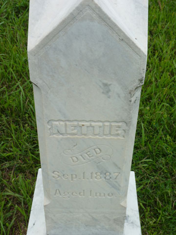 Koch Nettie