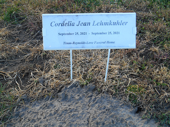 Lehmkuler Cordelia