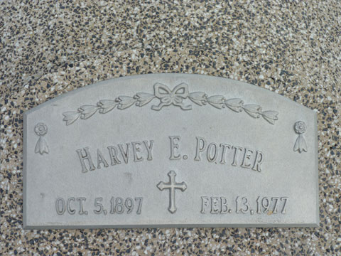Potter Harvey