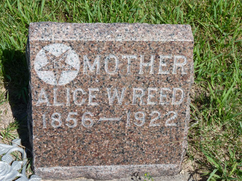 Reed Alice
