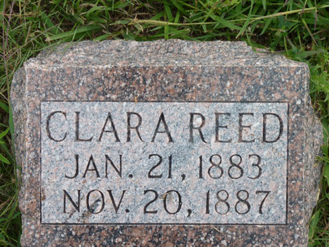 Reed Clara