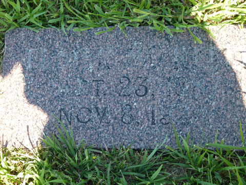 Reed Elmer