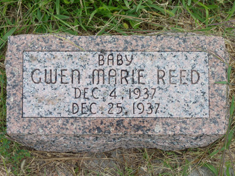 Reed Gwen
