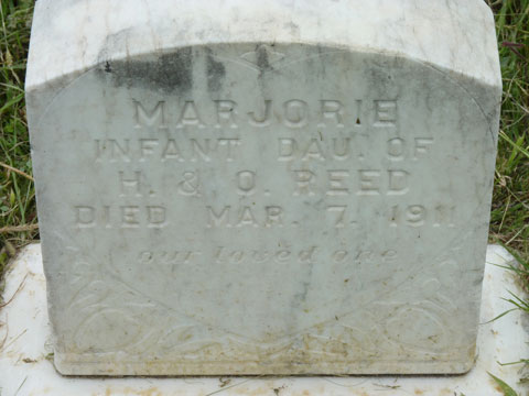 Reed Majorie