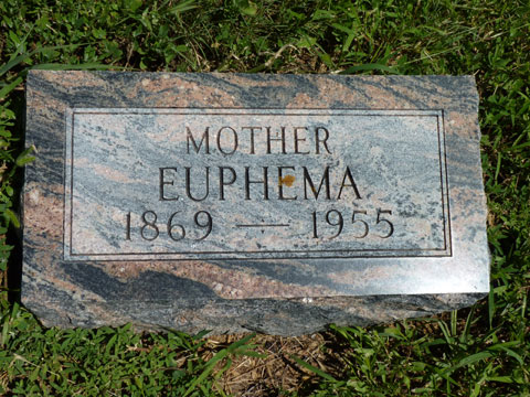 Ricketts Euphema