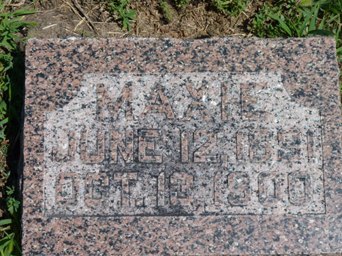 Ross Maxie