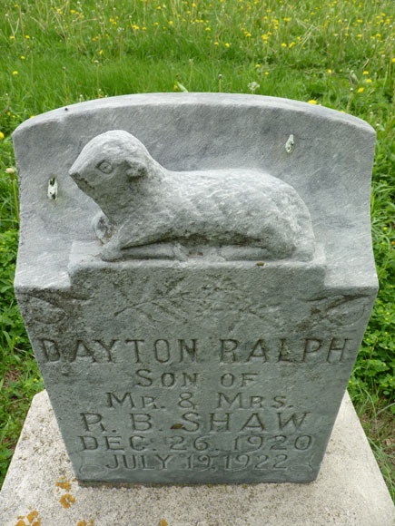 Shaw Dayton
