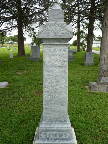 Simms David