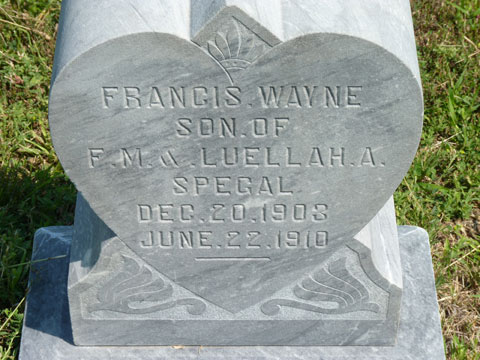 Spegal Francis2