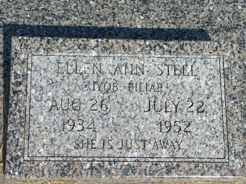 Steel Ellen