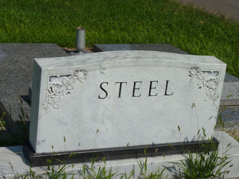 Steel