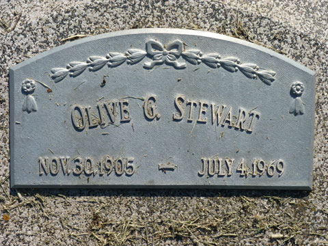 Stewart Olive