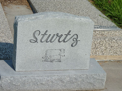 Sturtz