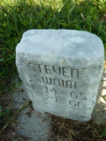 Swaim Steven