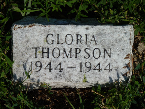 Thompson Gloria