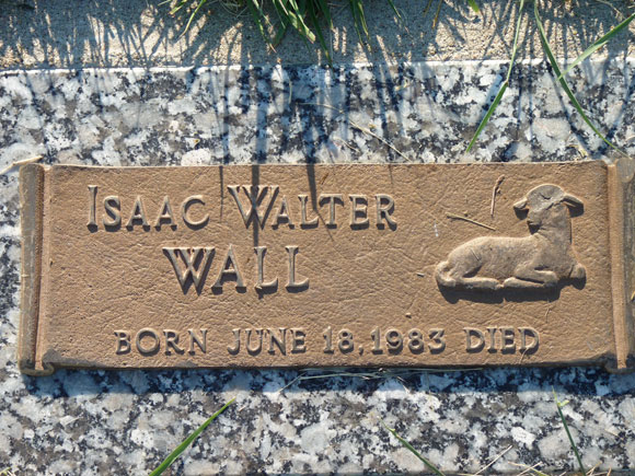 Wall Isaac