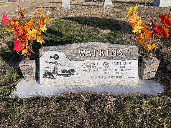 Watkins Bill 2