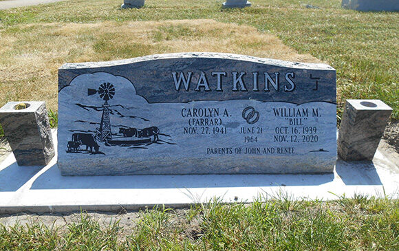 Watkins Bill