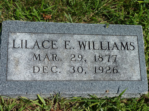 Williams Lilace
