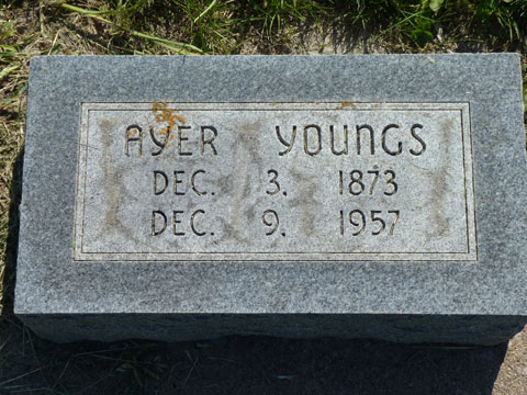 Youngs Ayer
