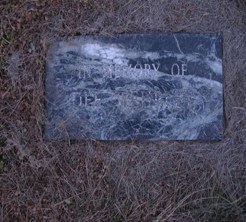 Wehrley, Dee