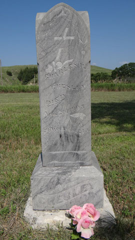 Chesley, Charles 2