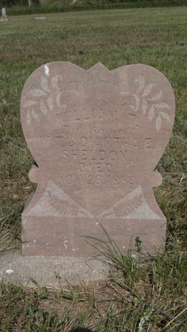 Sheldon, William T